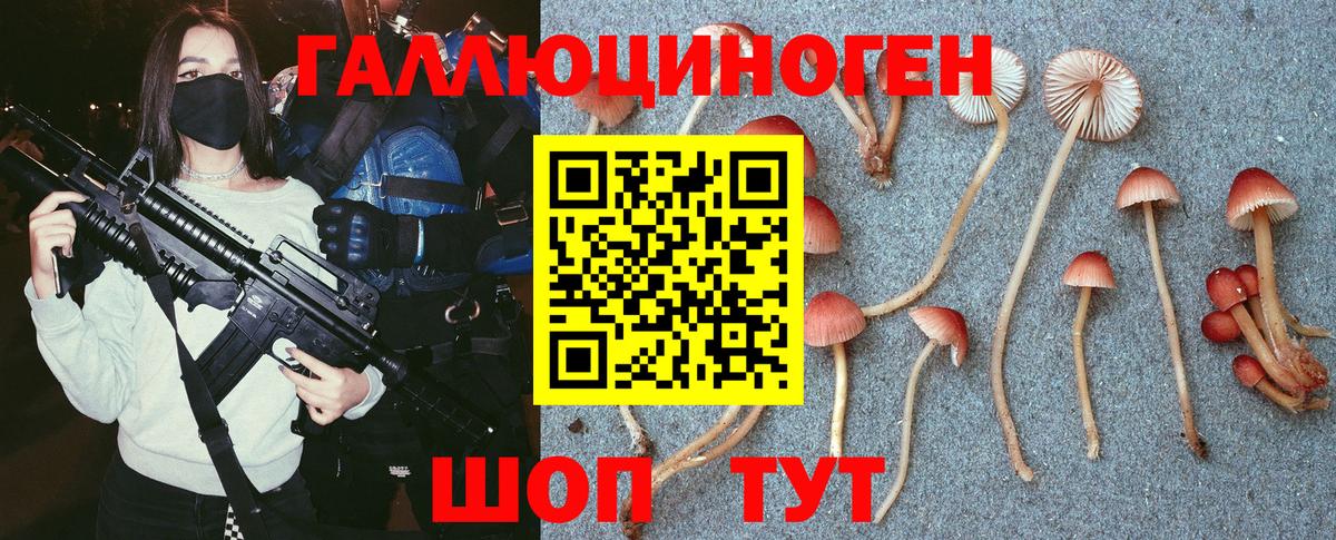 Псилоцибиновые грибы Psilocybine cubensis  Вход с VPN  Омск  Галлюциногенные грибы прущие грибы 